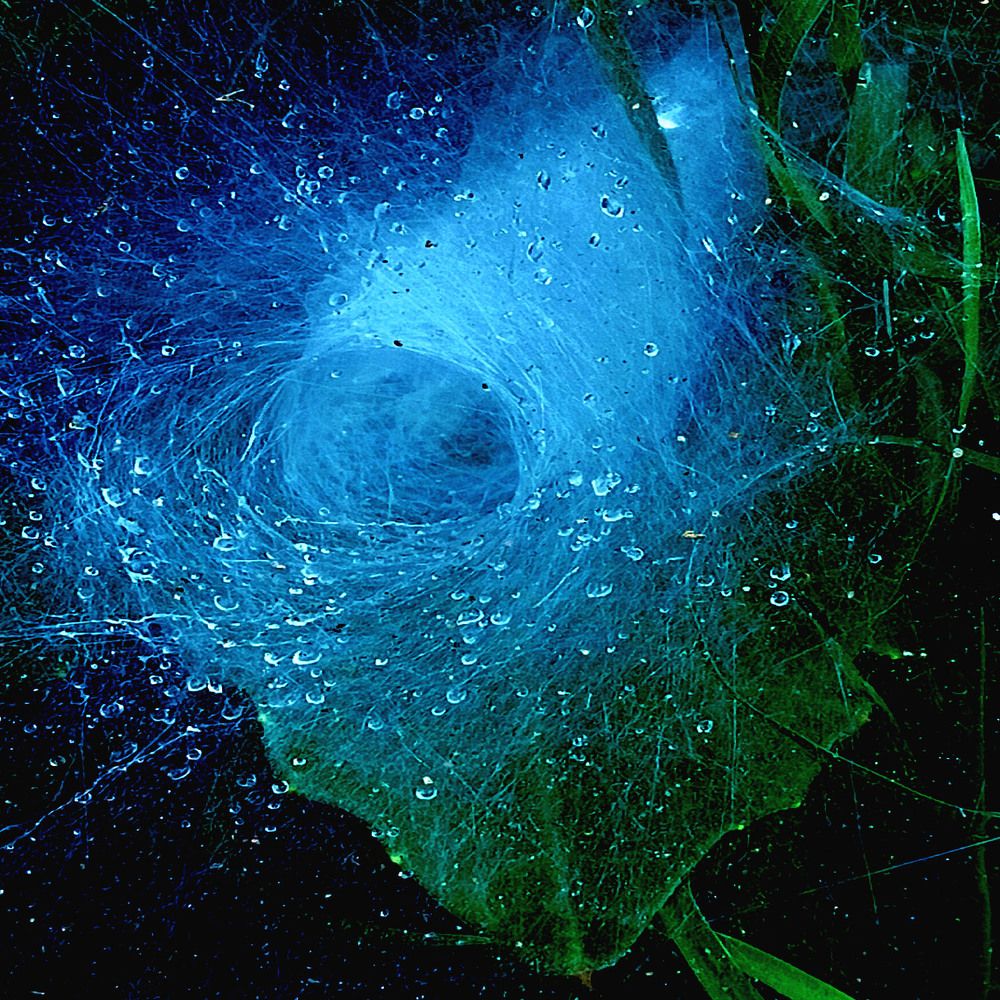 Photograph by Priyanka