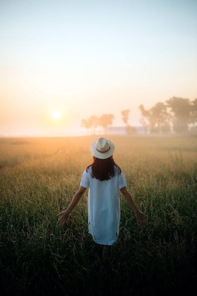 Утро в полях