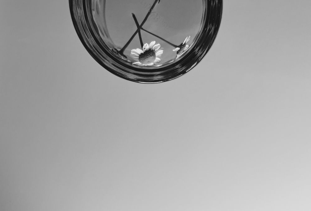Photograph by Alexandra