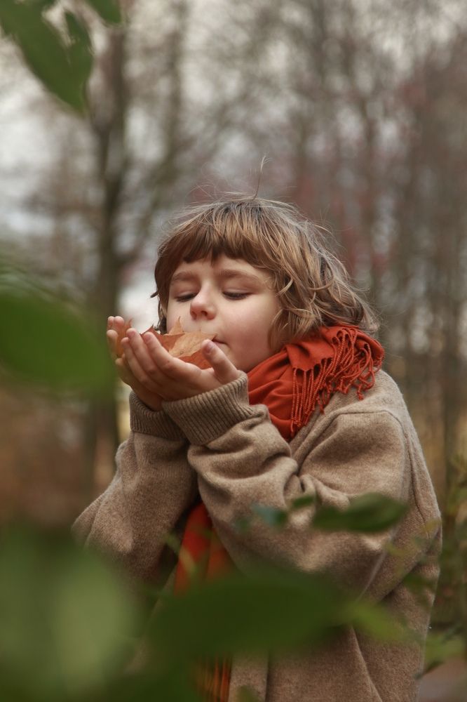 Photograph by Алина Томарева