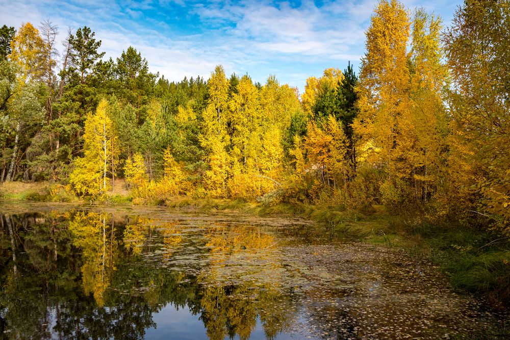 Photograph by Сергей Пашнов