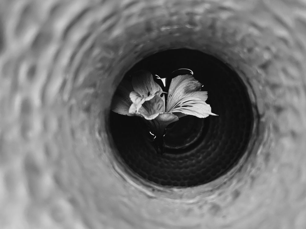 Photograph by Alexandra