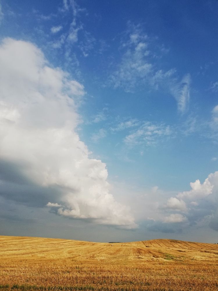 Photograph by Алексей Пузанов