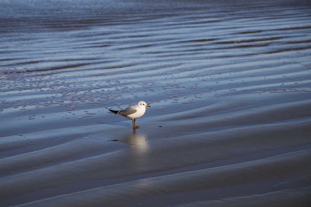 Photograph by Saeed Mamdouhi