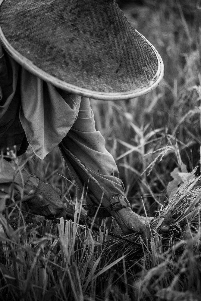 Photograph by HASHIM GOMBRI