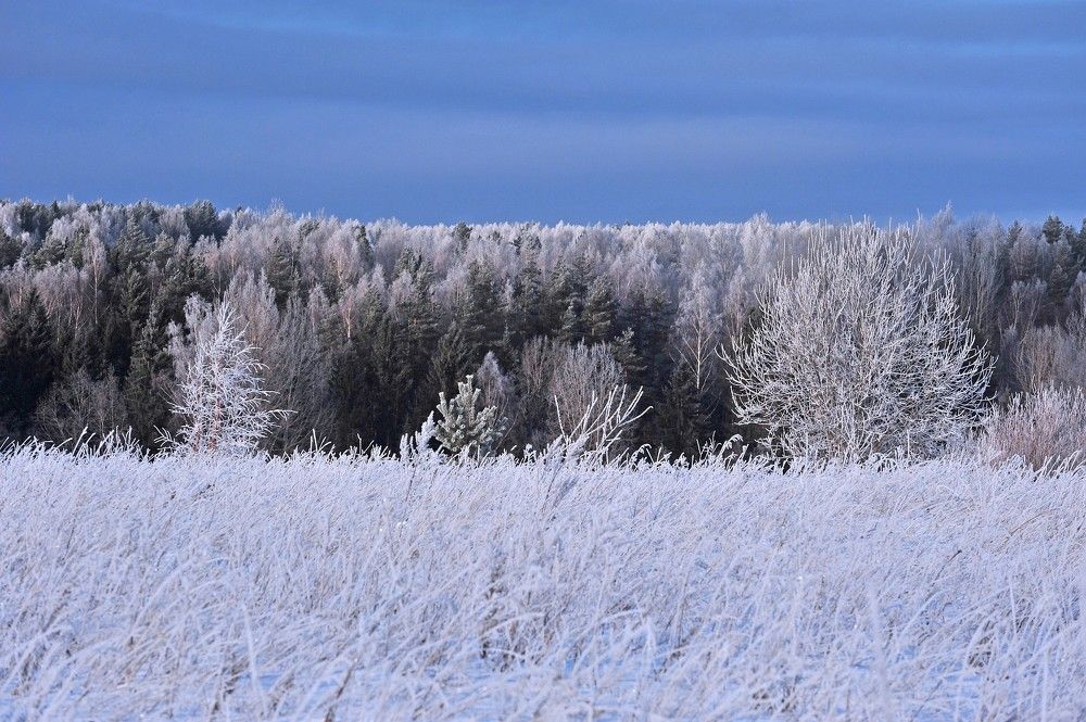Photograph by Юрий Яковлев