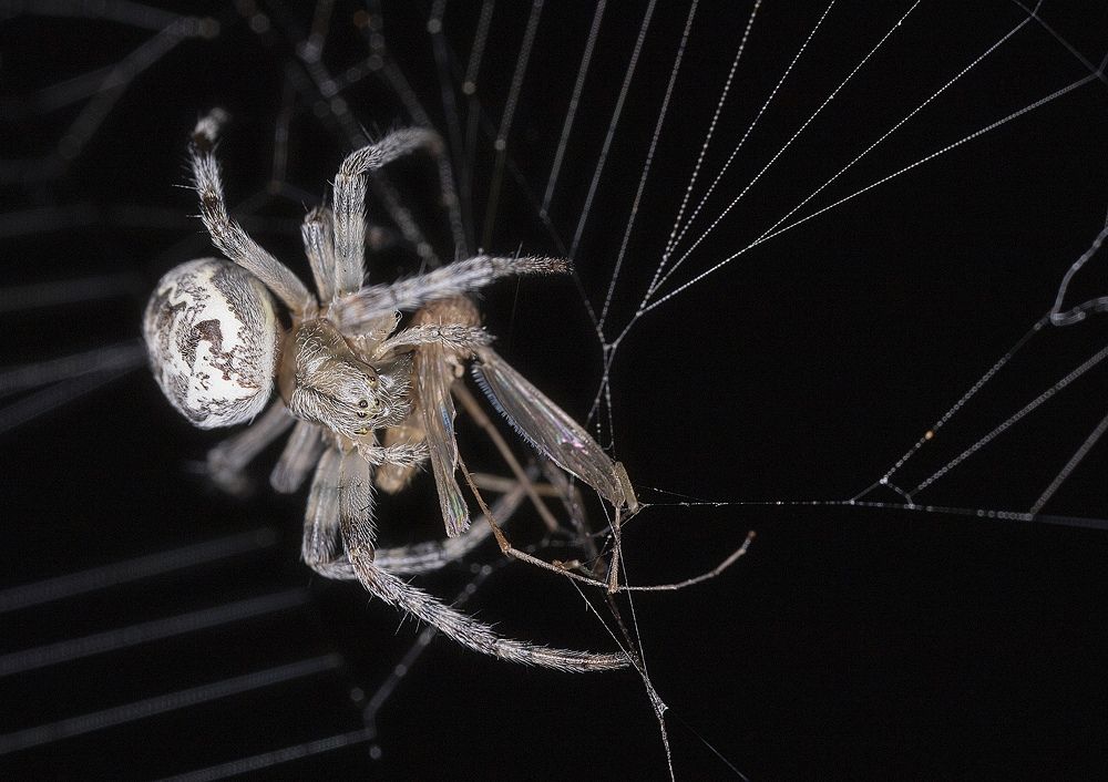 Photograph by Александр Широких