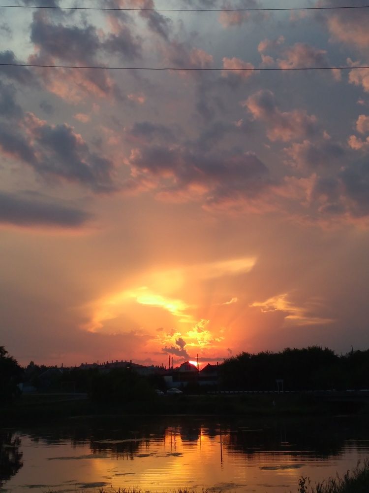 Photo #7302065