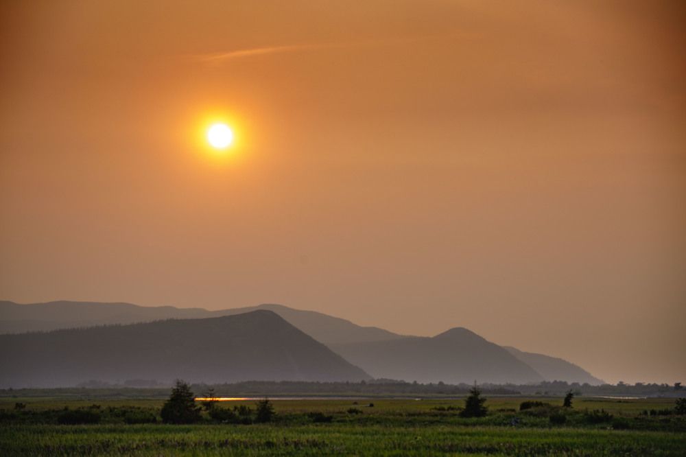 Photograph by Dmitriy Marchenko