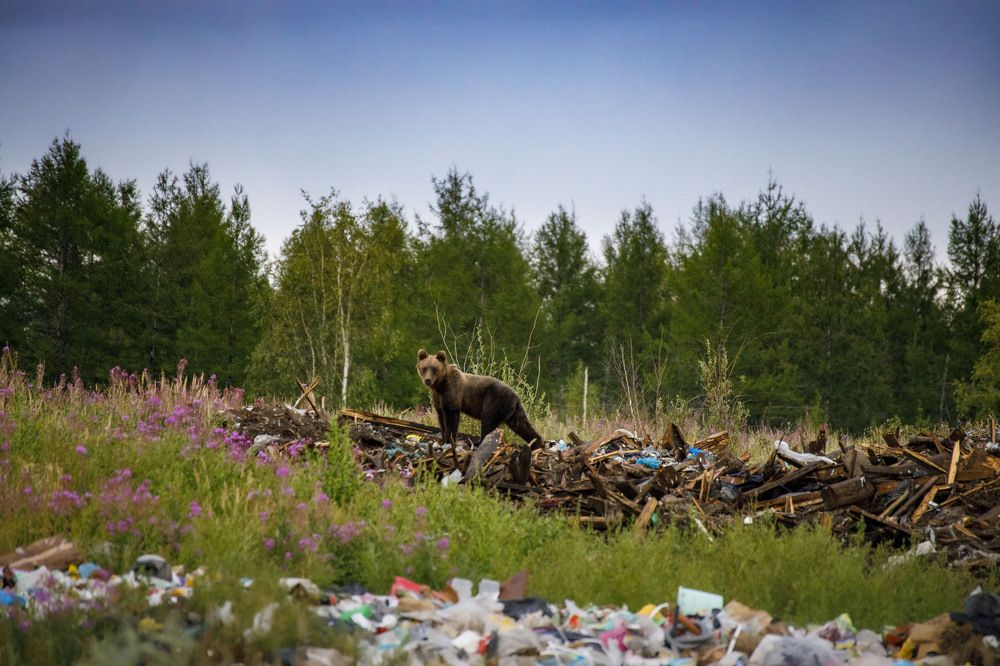 Photograph by Dmitriy Marchenko