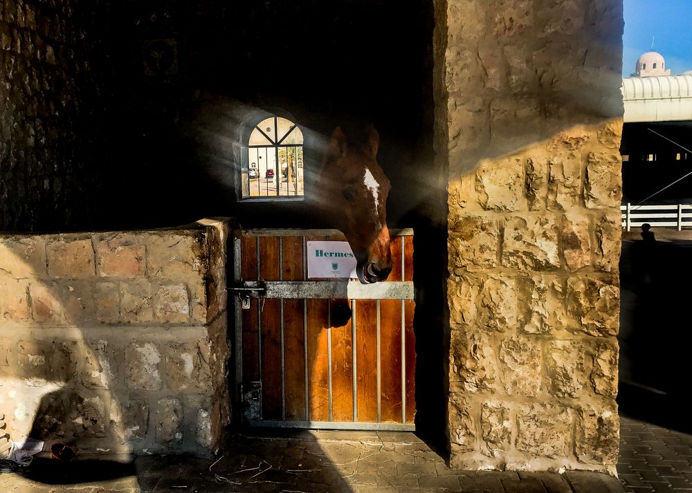 The Equestrian Centre.