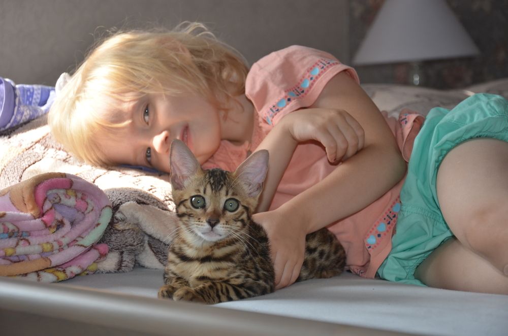 Photograph by Алексей Соболь