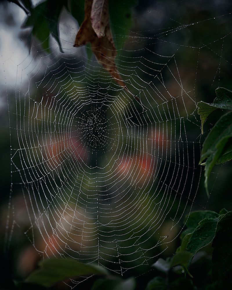 Фотография автора Александр Османов