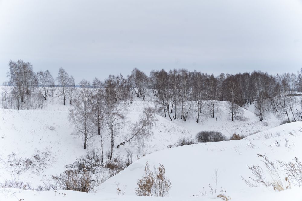 Photograph by Алина Брагина