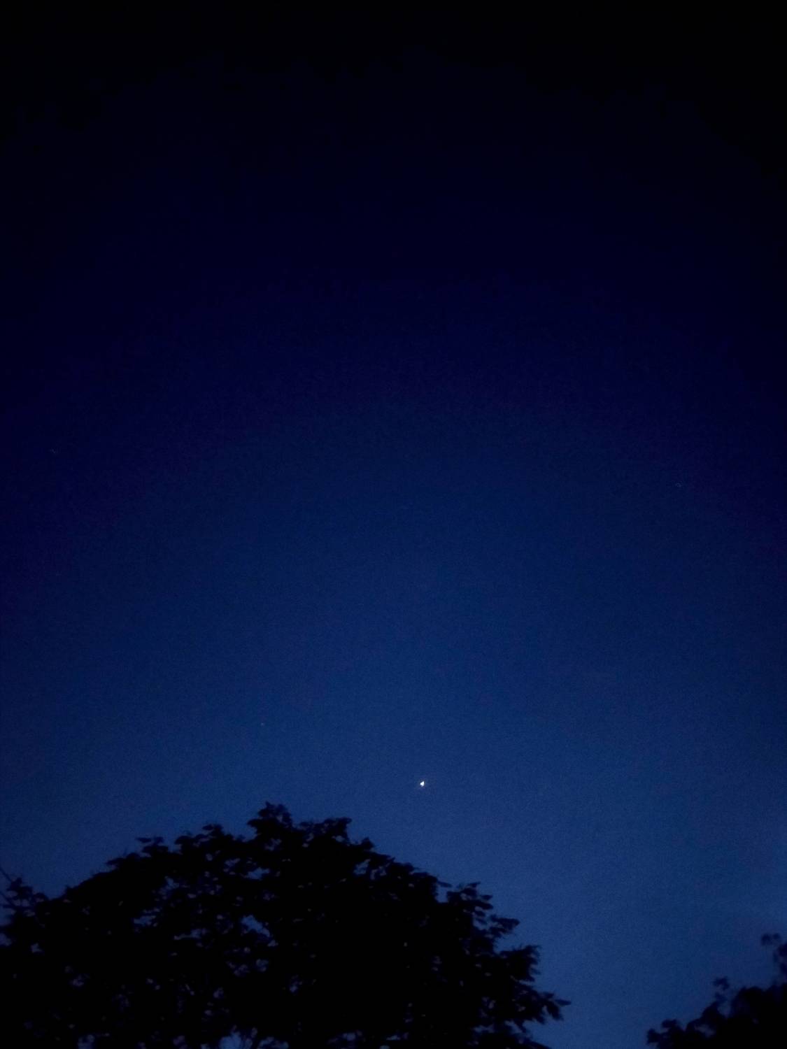 Led by the Star