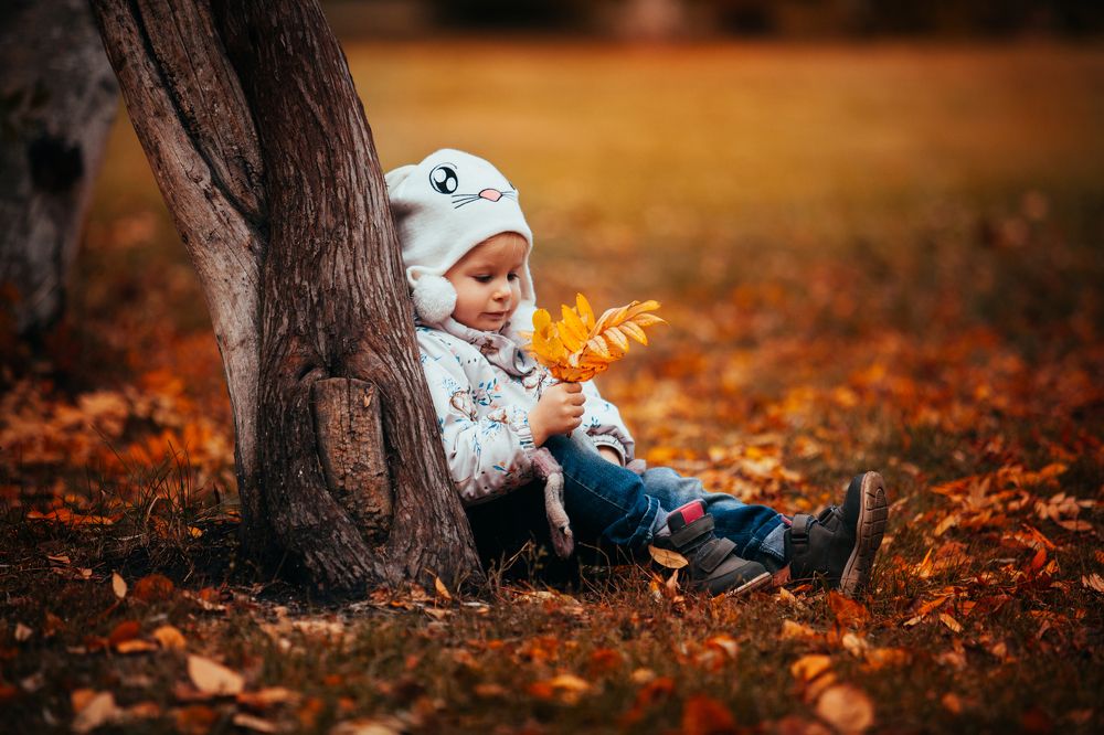 Фотография автора Сотников Иван