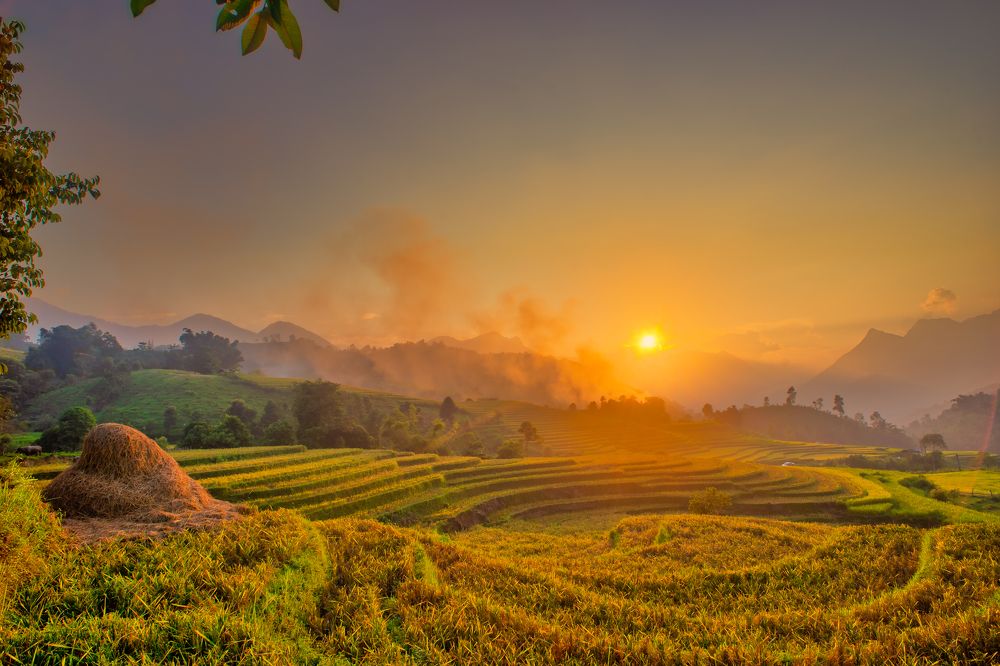 Фотография автора Trần Minh Thìn