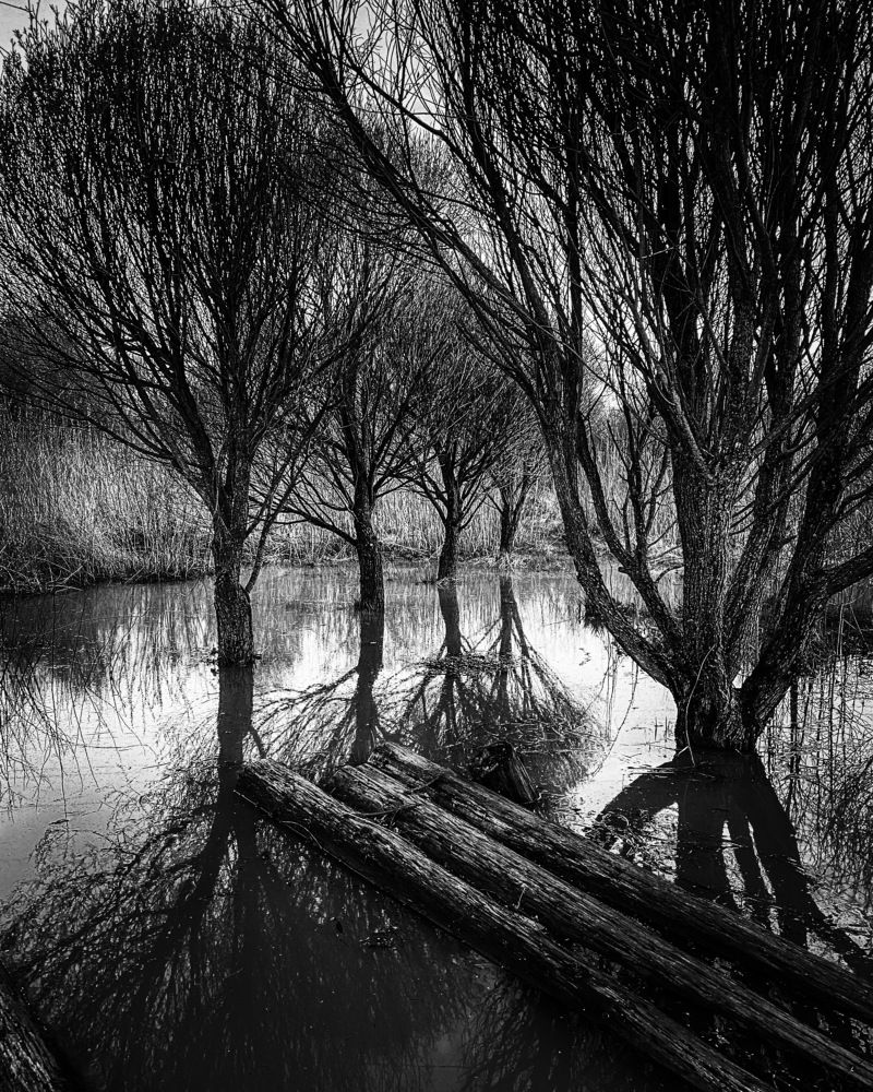 Photograph by Козинец Александр