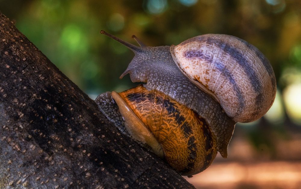 Photograph by Marco Dajethy