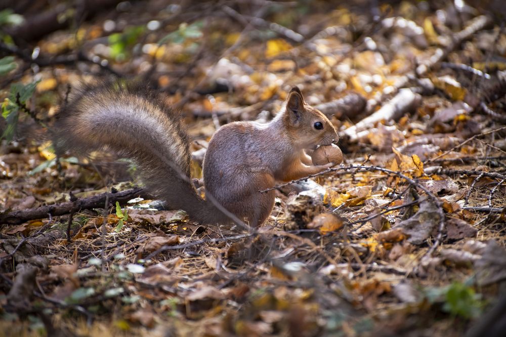 Фотография автора Дмитрий Войнов