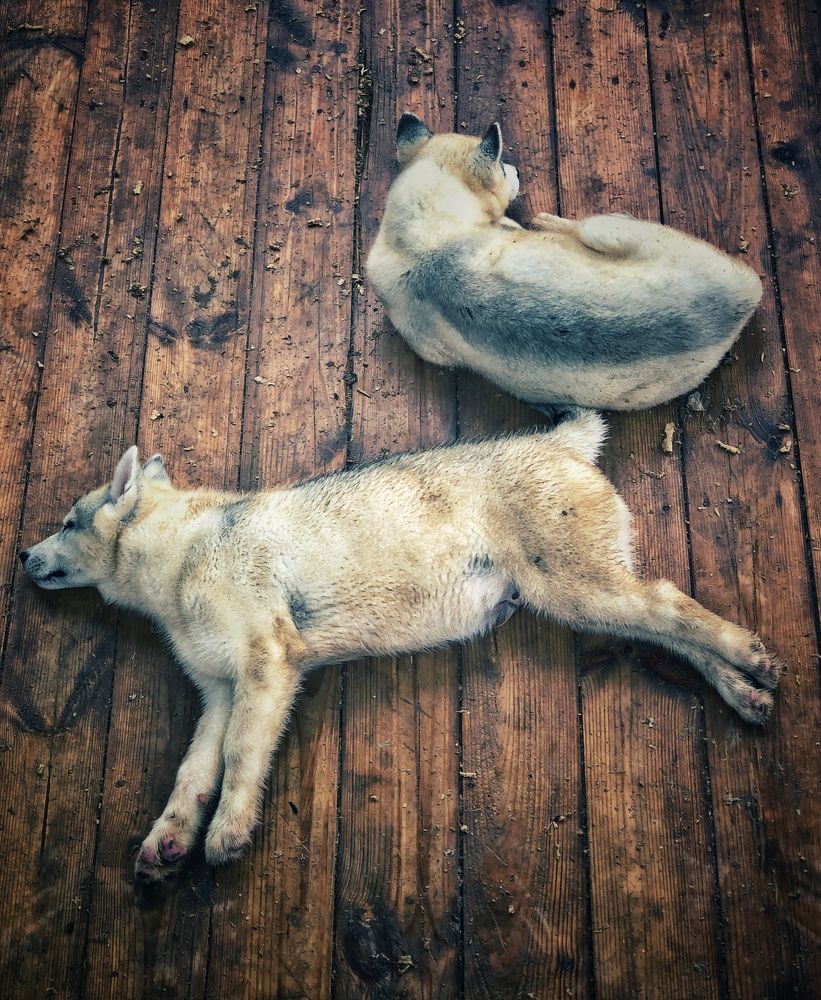 Photograph by Игорь Кулешов