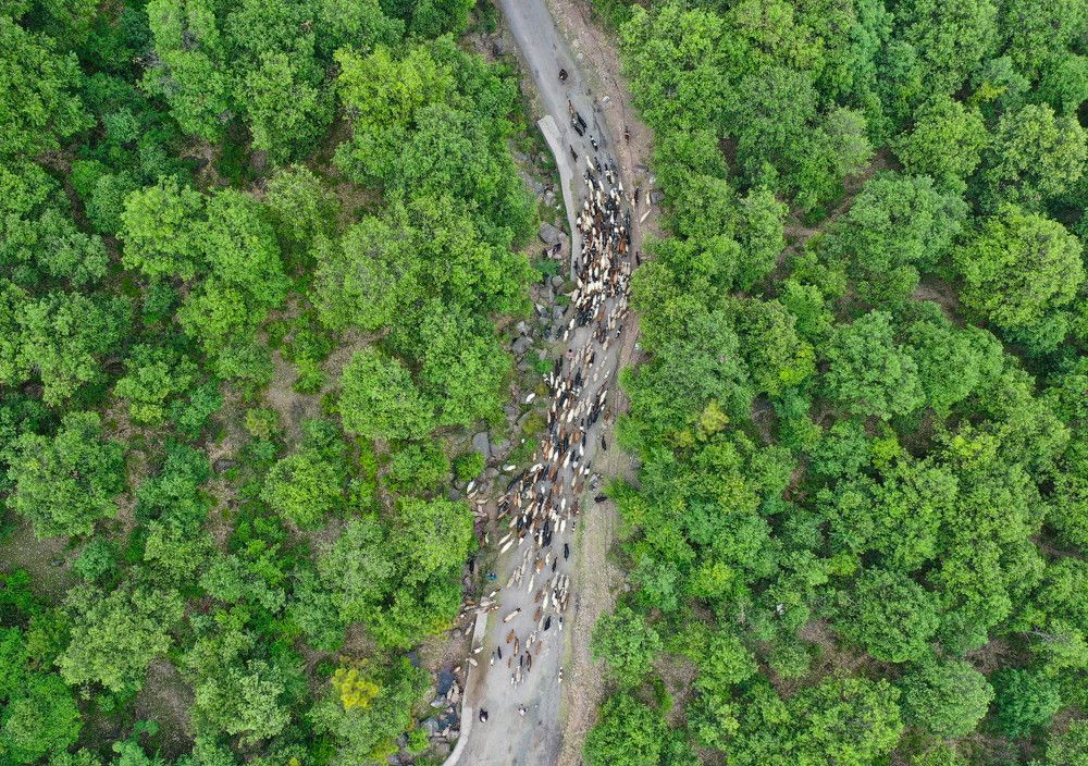 Photograph by Amit Kanwar