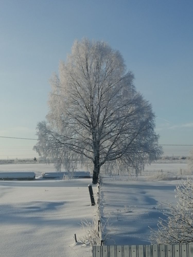 Photo #7302493