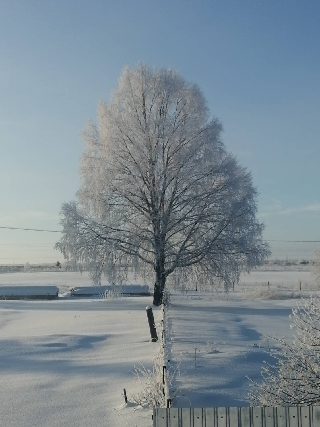 Photo #7302493