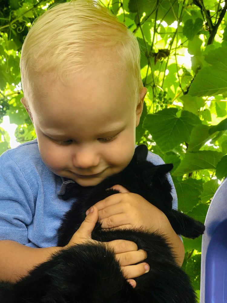 Photograph by Ольга Уласик