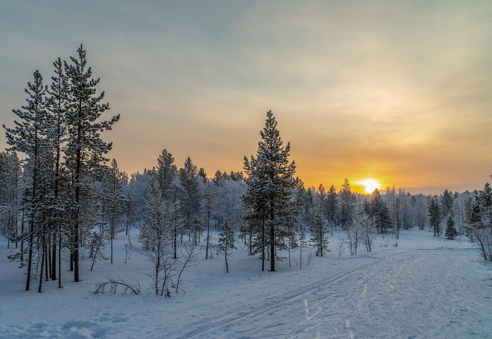 Photograph by Александр Ворошилов