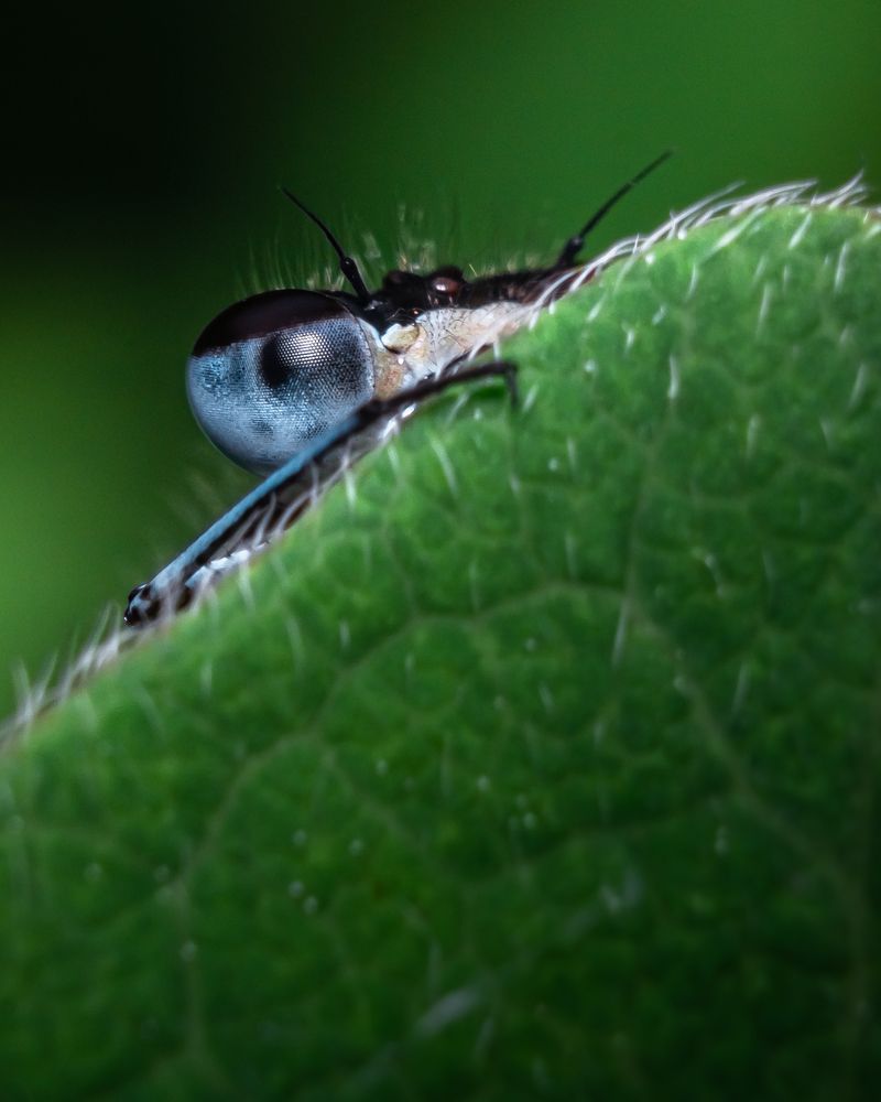 Photograph by Patryk George