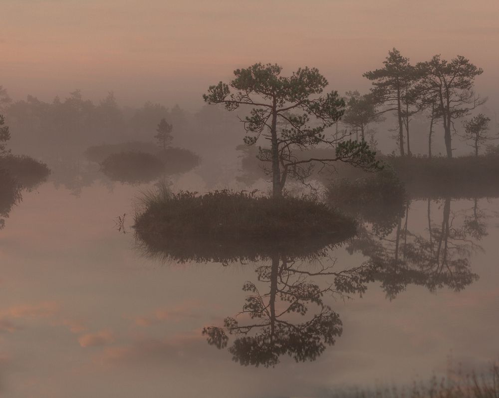 Photograph by Анастасия