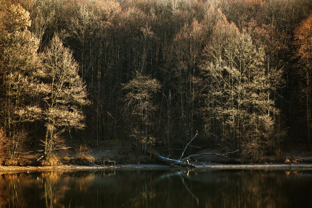 Photograph by Sodomelle Flavian