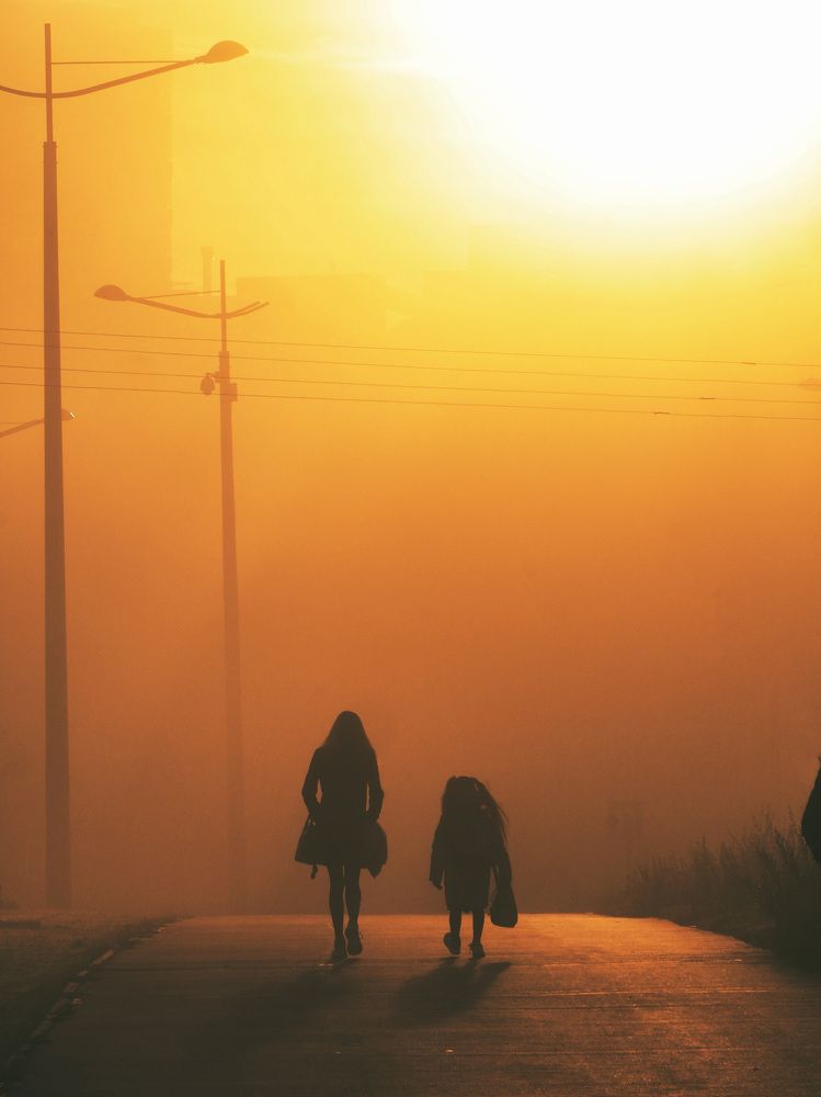 Photograph by Алексей Гречищев