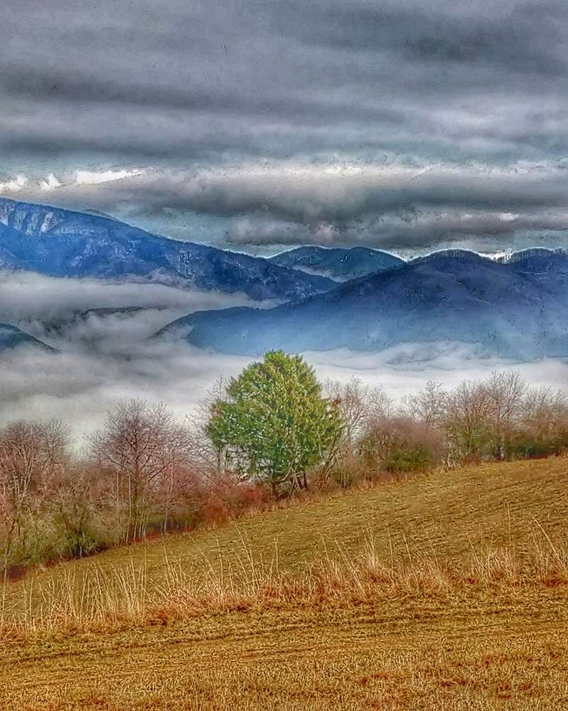 Photograph by Ján Šedivý