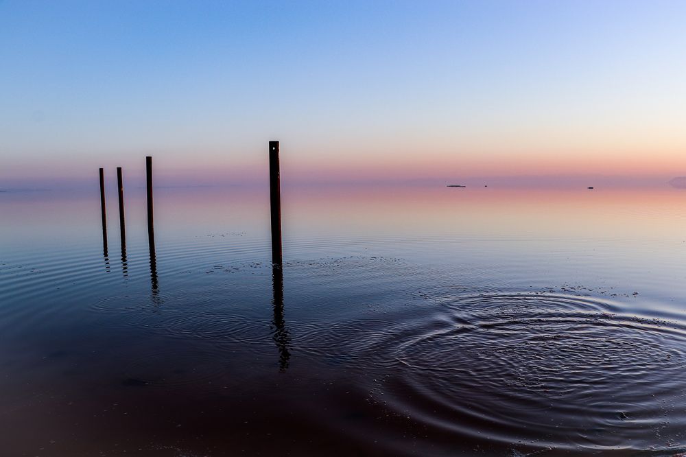 Photograph by Arash Abbaspoory