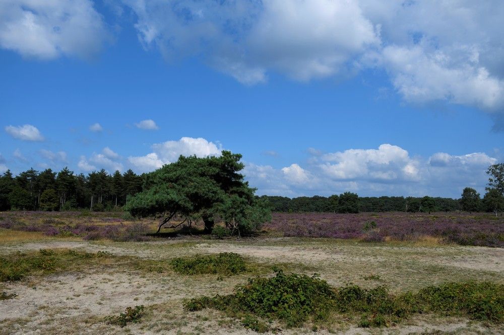 Photograph by Anja Jansen