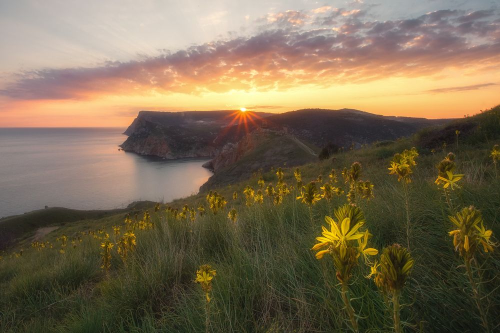 Фотография автора Екатерина Дмитренко