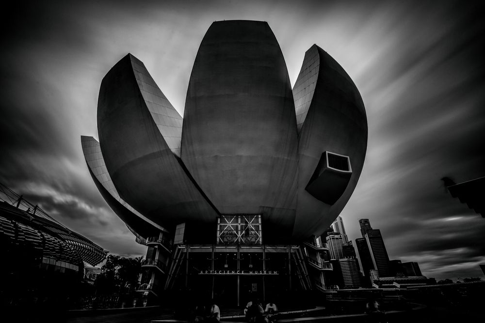 Photograph by ANMDEOS LS TEO