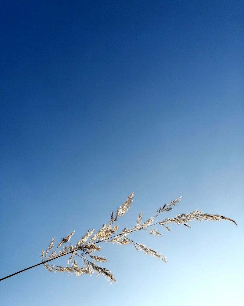 Photograph by  Яна