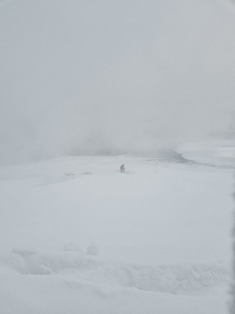 Photograph by Евгения Бобрик