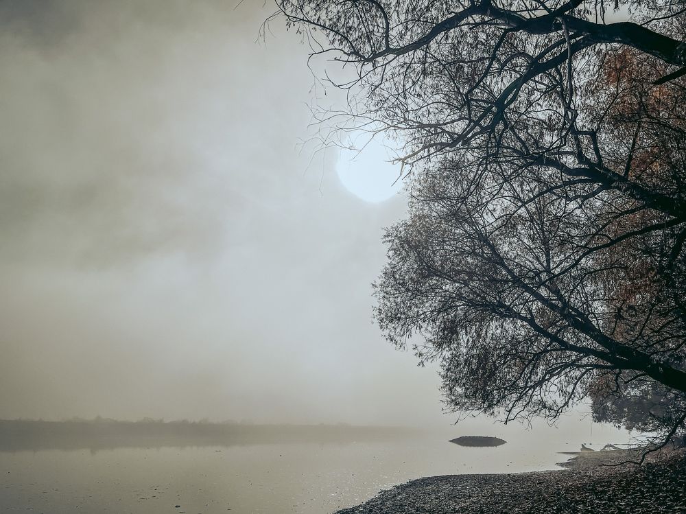 Photograph by Анастасия Денисенко