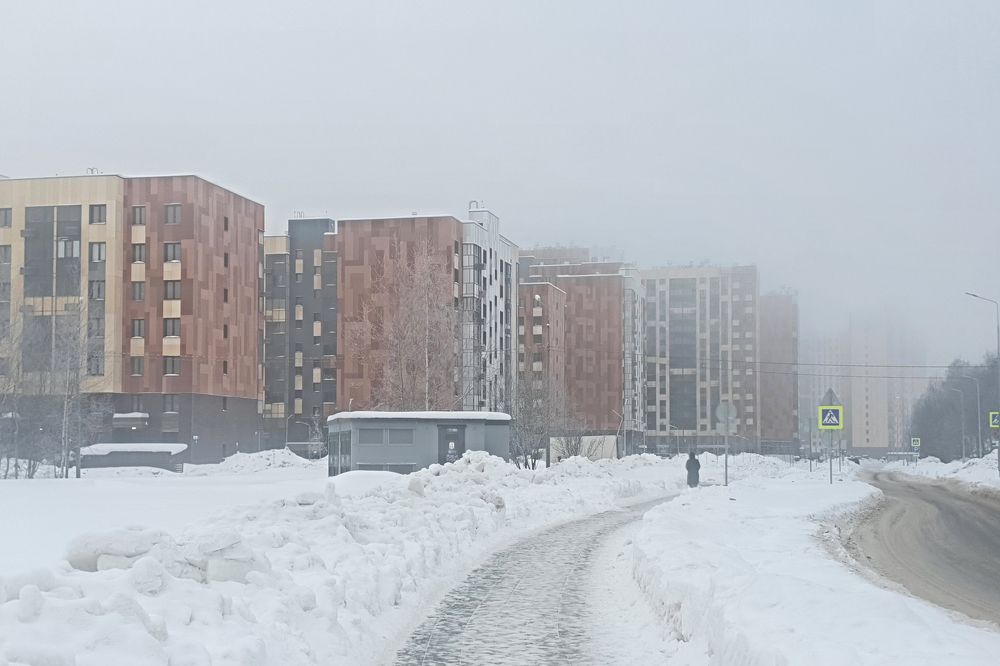 Зима в городе