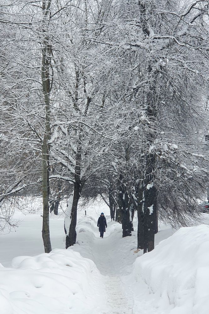 Зимняя тропинка