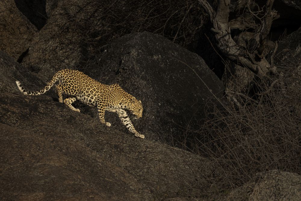 Photograph by Abhinav Behera