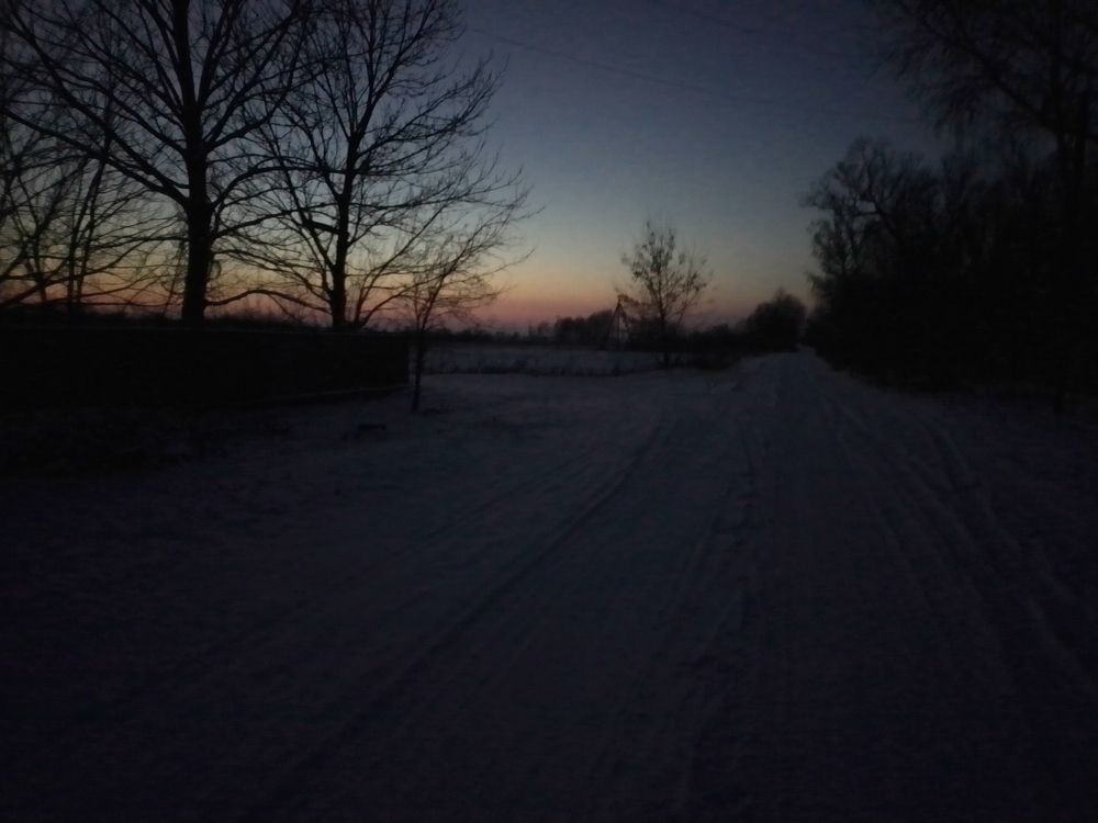 Photo #7302830