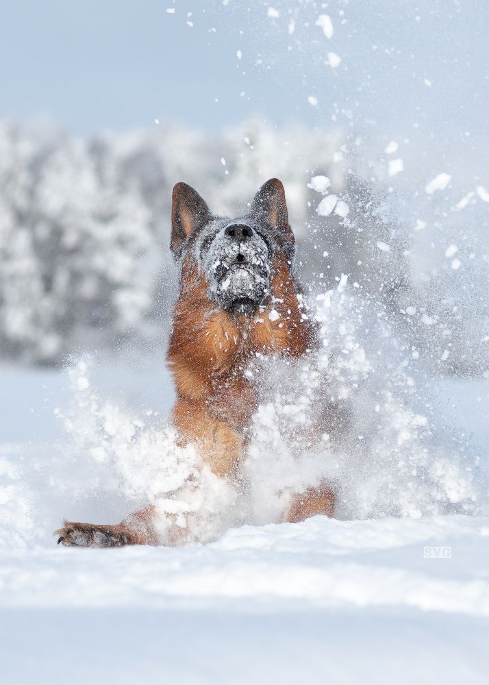 Photograph by Светлана