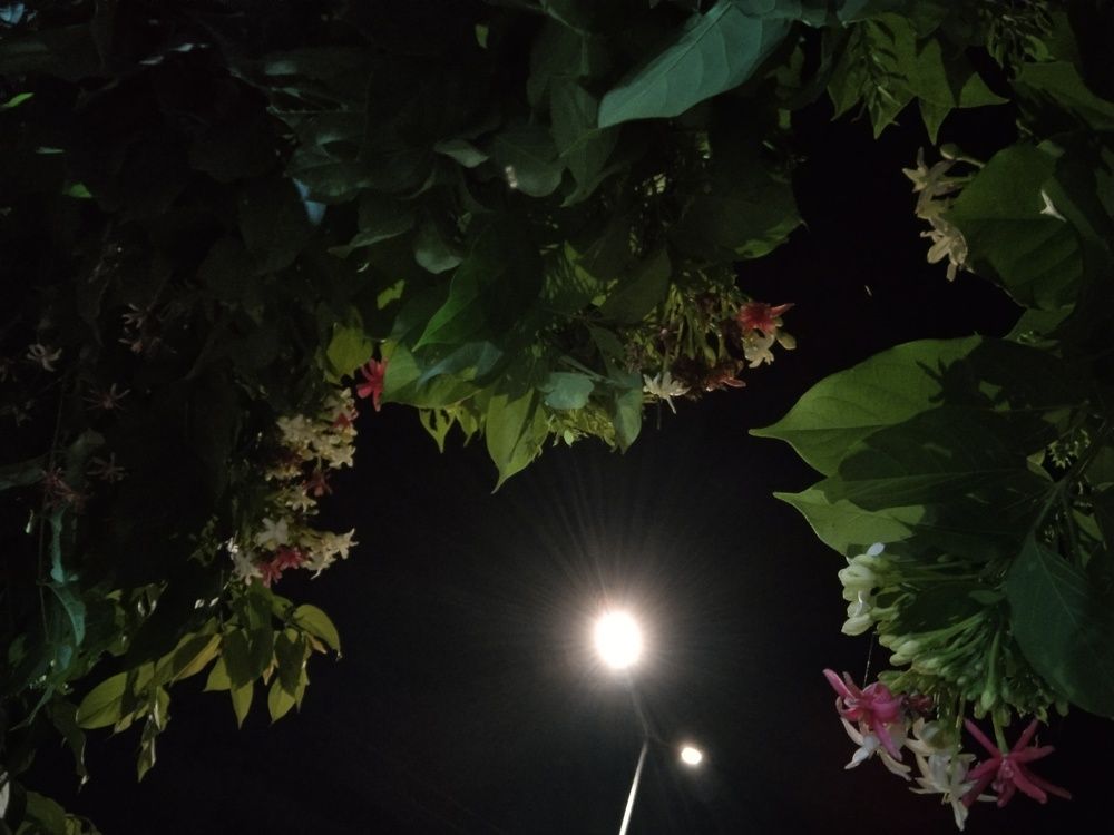 Photograph by Im Sreymony