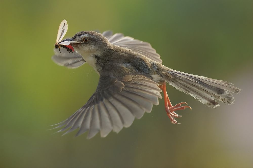 Photograph by Ha Phi Thi Thu