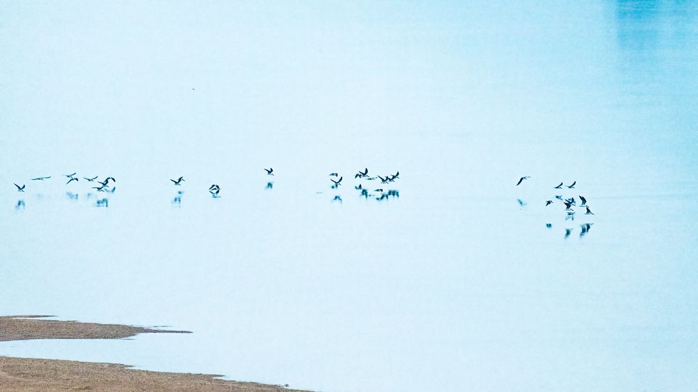 Фотография автора Sunny Saha Pramanick